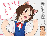 猫の日！ハルちゃん