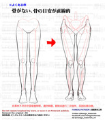 個人メモ：脚の骨格