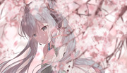 桜ノ雨