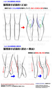 個人メモ：膝周りの凹凸