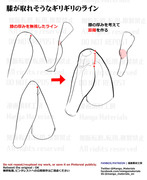 個人メモ：膝の折れ目