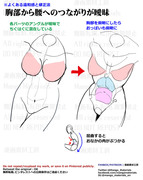 個人メモ：お腹