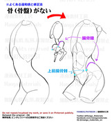 個人メモ：骨盤と腰