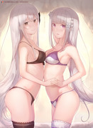 Echidna x Emilia