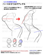 個人メモ：コントラポスト