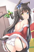 ホワイトクリスマス🐱