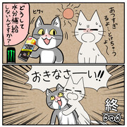 現場猫としかるねこ