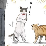 猫たち、ちょっと猫又　まとめ