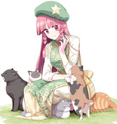 美鈴と猫