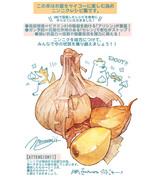 ＃日刊ごはんと物語　【380-389食目】まとめ