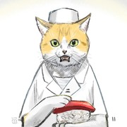 ずっと何かに反応しながら寿司を握っている猫の店主