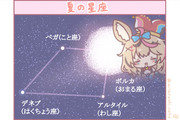 夏の星座