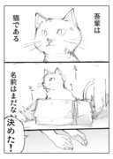 2Pで終わる「吾輩は猫」