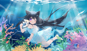 Ocean Cat