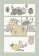 おそとのねこたち②