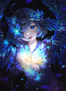 幻を追う🦋