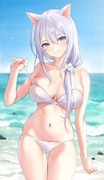 猫ちゃんの夏(12)