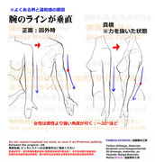 個人メモ：腕のライン