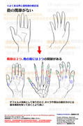 個人メモ：手指の関節