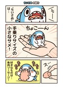 手乗りサイズの小さなサメの“ちいさめ”