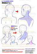 個人メモ：首～背中