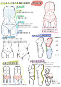 イラストに活かす！解剖学講座　脚・腰編