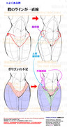 個人メモ：股のライン