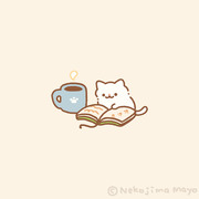 📚🐈✨