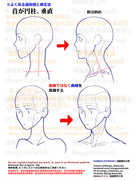 個人メモ：首の立体