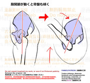 個人メモ：股関節と骨盤の連動