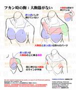 個人メモ：フカンの肩胸