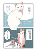 白い猫と暮らしている漫画②