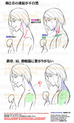 個人メモ：横アングルの顔･首･肩