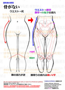 個人メモ：ウエスト→大腿の流れ