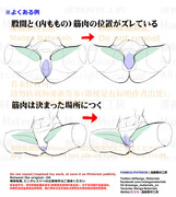 個人メモ：開脚時の内腿の筋肉