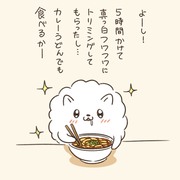 無茶な事をしたがるポメラニアン