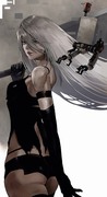 A2