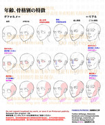 個人メモ：年齢、骨格別の顔の特徴