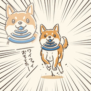 何でも拾ってくる犬