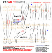 個人メモ：ひざ周りの立体