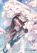 私の桜