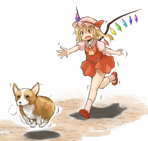 フランちゃんと犬