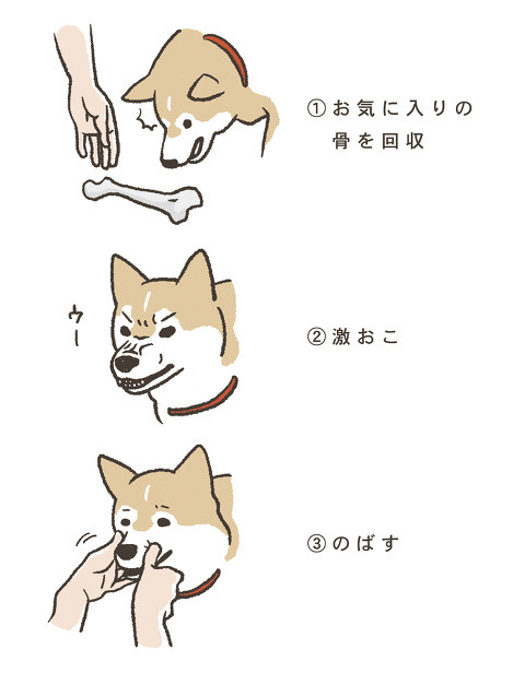 犬に怒られたときの対処 Pixiv年鑑 B