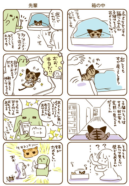 【ねこのふくらみ】②