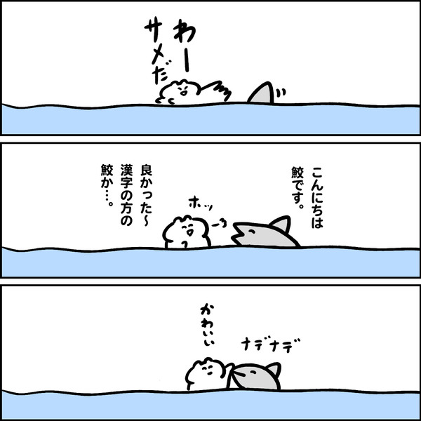 サメが来る