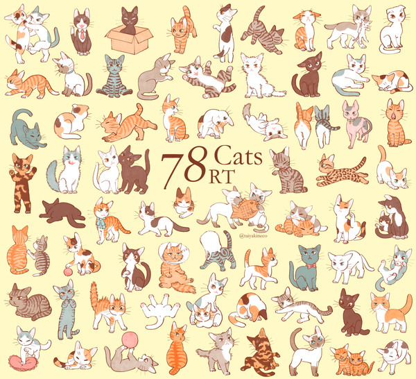 78RT Cats