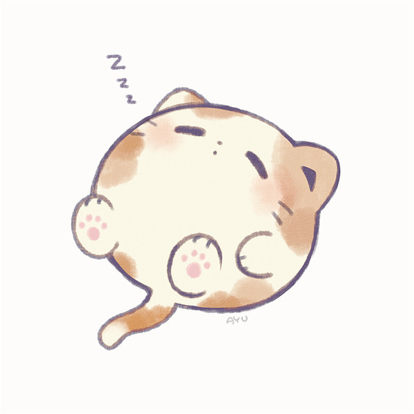 ROUND CAT