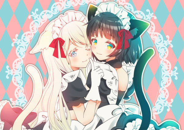白猫ちゃん♥黒猫ちゃん