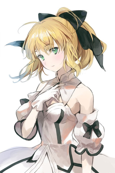 Saber Lily