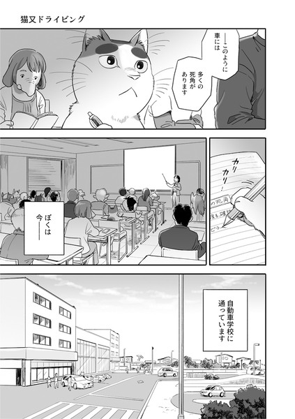 猫又ドライビング